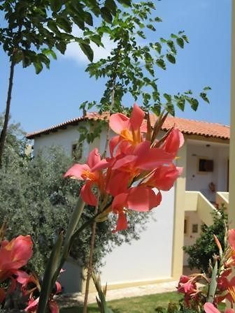 Hotel Heleni Apartments Epidaurus Eksteriør bilde